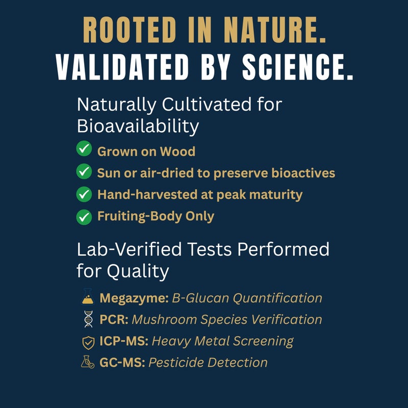 Monkey Brew Rise & Focus USDA Organic Mushroom Coffee | Boosts Focus, Energy, Immunity & Mood | 1,750mg Adaptogens: Lion’s Mane, Turkey Tail, KSM-66 Ashwagandha | Low Caffeine, Fruiting Body - Image 5